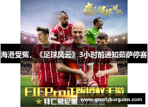 海港受冤，《足球风云》3小时前通知茹萨停赛