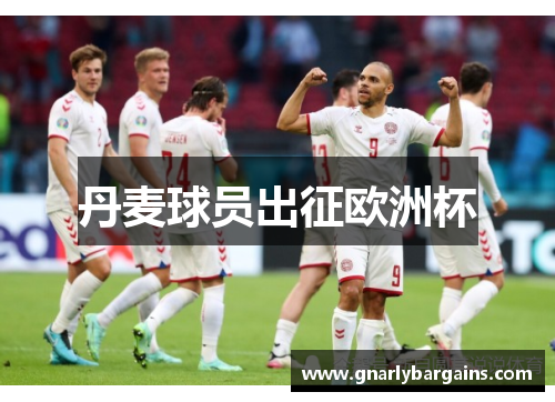 丹麦球员出征欧洲杯