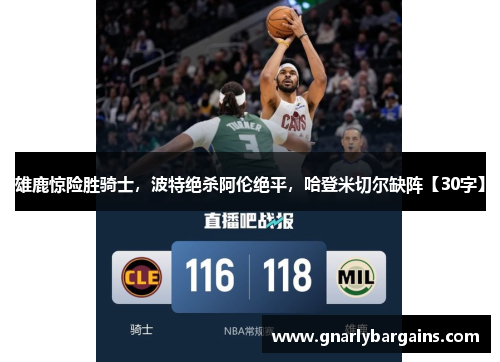 雄鹿惊险胜骑士，波特绝杀阿伦绝平，哈登米切尔缺阵【30字】